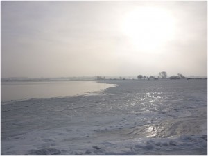 Fachwerk-Kate_Hunde_20