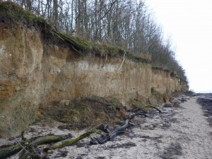 Insel Poel_Gollwitz_Die kleine Fachwerk-Kate (10)