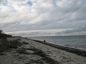 Insel Poel_Schwarzer Busch_Die kleine Fachwerk-Kate (10)