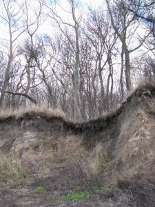 Insel Poel_Schwarzer Busch_Die kleine Fachwerk-Kate (11)