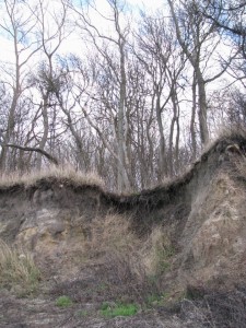 Insel Poel_Schwarzer Busch_Die kleine Fachwerk-Kate (11)