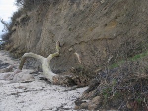 Insel Poel_Schwarzer Busch_Die kleine Fachwerk-Kate (12)