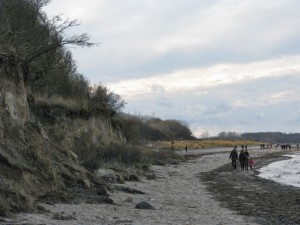 Insel Poel_Schwarzer Busch_Die kleine Fachwerk-Kate (13)