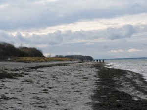 Insel Poel_Schwarzer Busch_Die kleine Fachwerk-Kate (14)