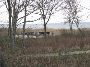 Insel Poel_Schwarzer Busch_Die kleine Fachwerk-Kate (16)