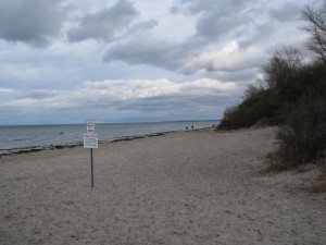 Insel Poel_Schwarzer Busch_Die kleine Fachwerk-Kate (3)