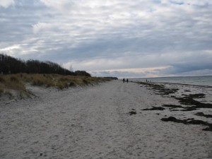 Insel Poel_Schwarzer Busch_Die kleine Fachwerk-Kate (4)