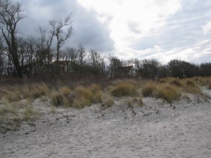 Insel Poel_Schwarzer Busch_Die kleine Fachwerk-Kate (5)