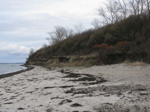 Insel Poel_Schwarzer Busch_Die kleine Fachwerk-Kate (8)