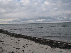 Insel Poel_Schwarzer Busch_Die kleine Fachwerk-Kate (9)