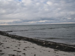 Insel Poel_Schwarzer Busch_Die kleine Fachwerk-Kate (9)