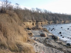 Insel Poel_Timmendorferstrand_Die kleine Fachwerk-Kate (10)