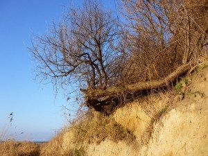 Insel Poel_Timmendorferstrand_Die kleine Fachwerk-Kate (12)