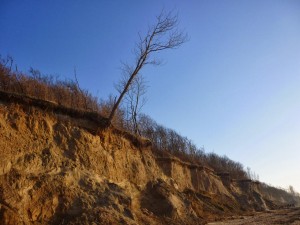 Insel Poel_Timmendorferstrand_Die kleine Fachwerk-Kate (18)