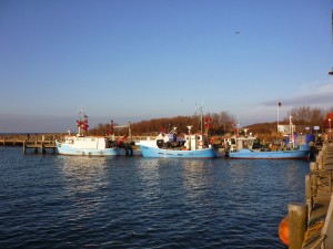 Insel Poel_Timmendorferstrand_Die kleine Fachwerk-Kate (5)