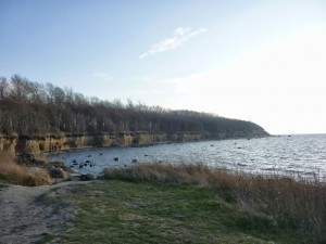 Insel Poel_Timmendorferstrand_Die kleine Fachwerk-Kate (9)